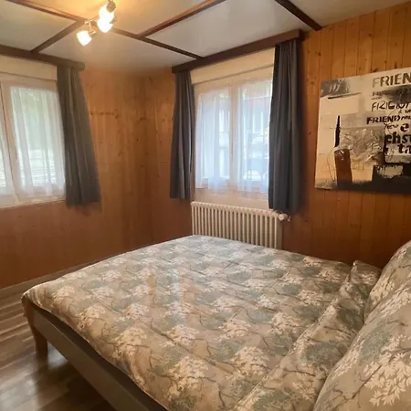 Cosy 3 In Saas-Balen